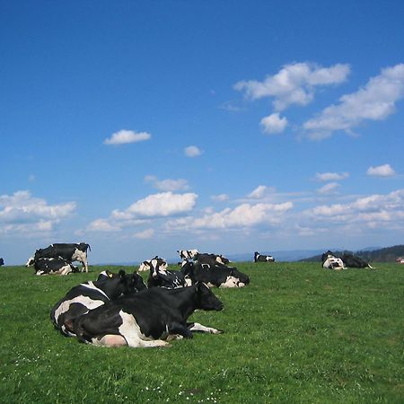 Hof Laesser Möggers Zewnętrze zdjęcie